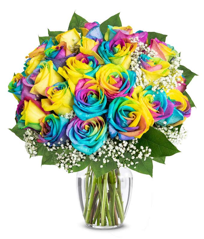Two Dozen Pride Roses