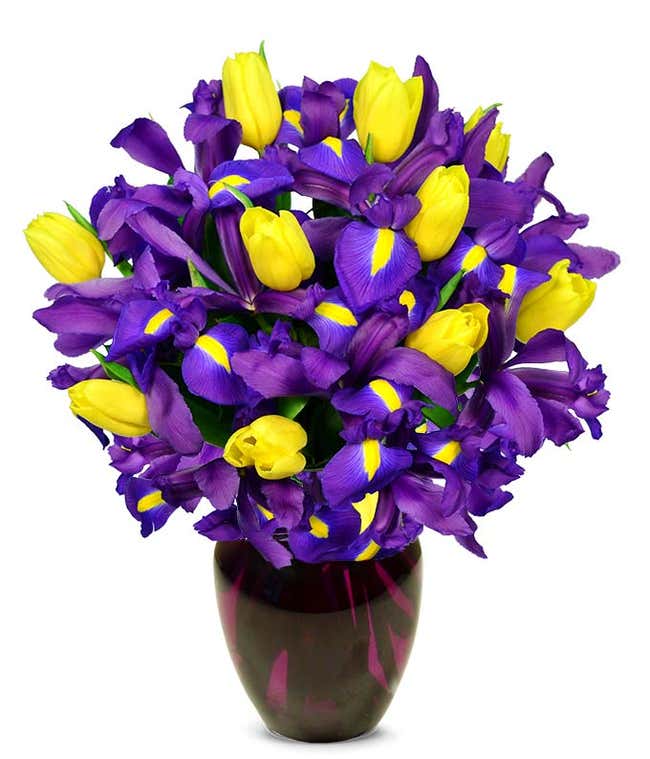Blue iris flowers arranged with yellow tulips for gift delivery