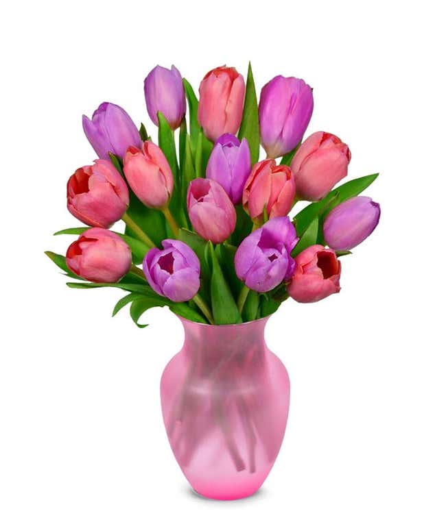 Pink tulips and purple tulips