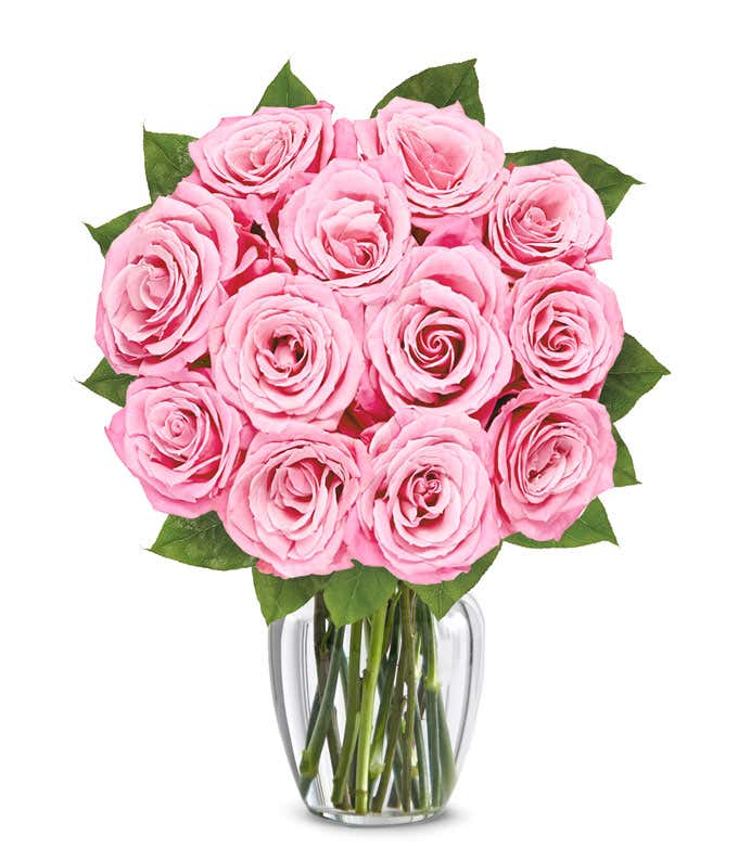 One Dozen Light Pink Breast Cancer Awareness Roses