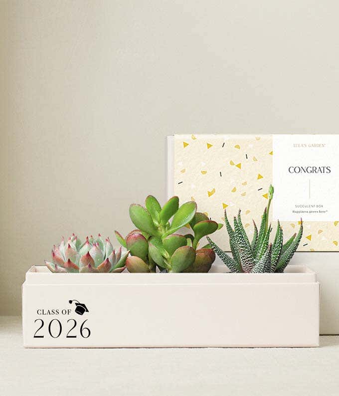 Lula's Garden ® Congrats Grad! Jewel Garden