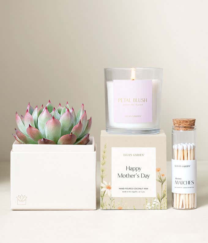 Lula's Garden ® Mother's Day Bliss Garden Gift Set
