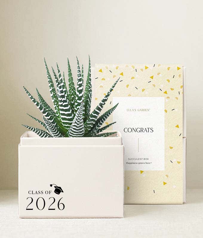 Lula's Garden ® Congrats Grad! Zebra Garden