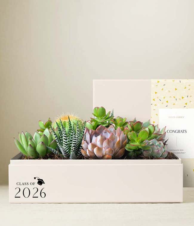 Lula's Garden &reg; Congrats Grad! Lush Garden