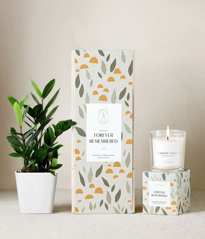 Sympathy gift set featuring a ZZ plant in a white ceramic planter, a citrus blossom scented candle, and a decorative gift box with a leaf and sun pattern labeled Forever Remembered